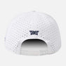 6 Panel Dog Tag Structured Low Crown Snapback